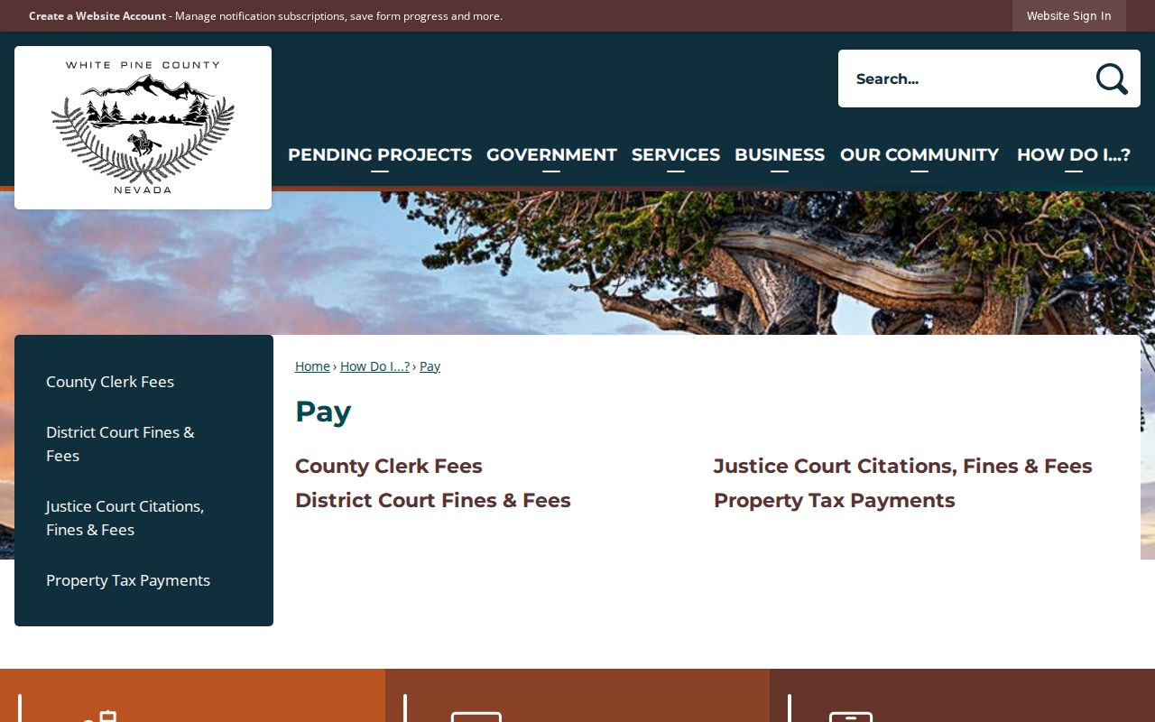White Pine County traffic warrant and Justice Court payment hub